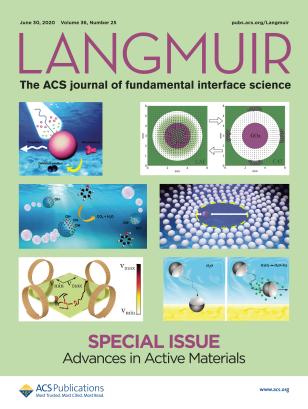 Langmuir cover Jun 20