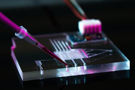 Microfluidic device