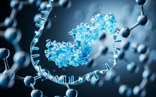 Protein + RNA